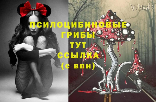бутират Осинники